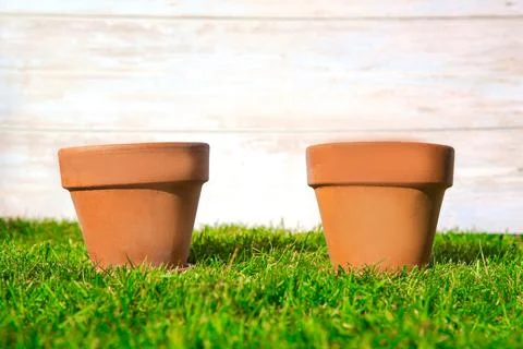 Two Flower pot empty in fresh bright green grass with wooden background for g Stock Photos