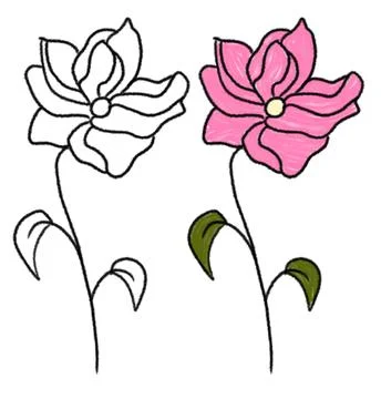 Two flowers are drawn on a plain white background. One flower is outlined in  Stock Illustration