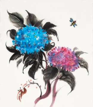 Two flowers hydrangeas Stock Illustration