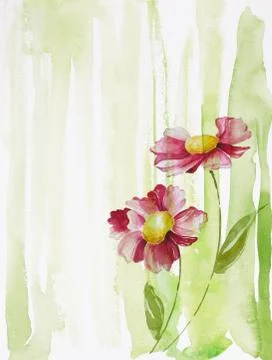 Two flowers Stock Illustration