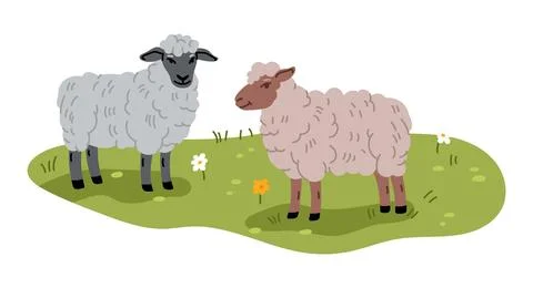 Two fluffy sheep peacefully gazing on grassy field Ilustração Stock