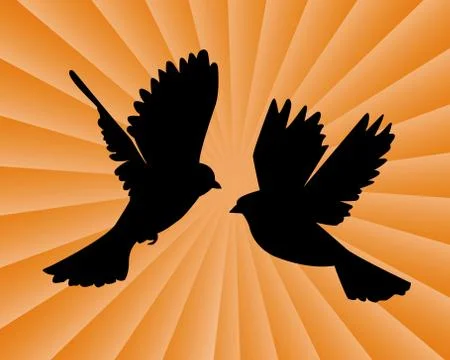 Two flying birds Stock Illustration
