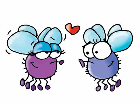 Two flying flies flying Stock Illustration