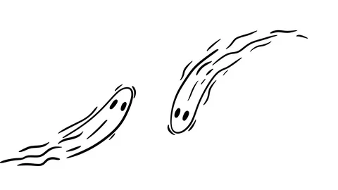 Two flying ghosts. Hand drawn 2d cartoon... | Stock Video | Pond5
