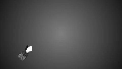 Two Flying Particles Near Each Other Stock Footage 121689621