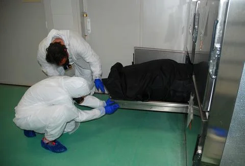 Two forensic workers take the body of a person out of a cold room Stock Photos