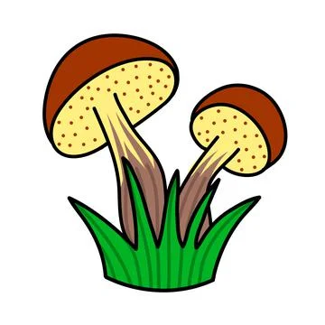 Two forest mushrooms with a brown cap, white mushroom. Primitive childish vec Stock Illustration