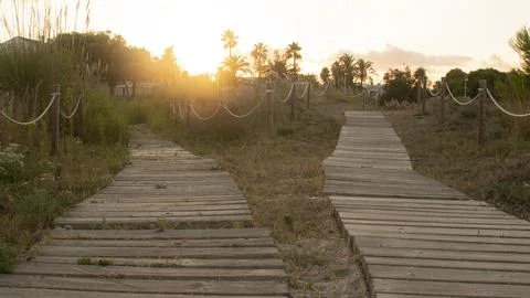 Two forked wooden paths alongside the sheltered dunes of a lonely beach on th Stock Photos