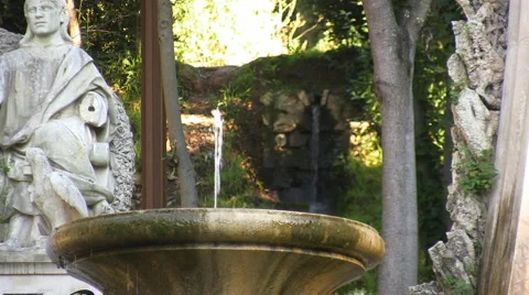 Two fountains Stock Footage 1050623