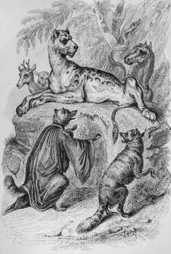 The two -fox trials, Fables de Florian illustrated by Victor Adam, Delloye Pu Stock Illustration