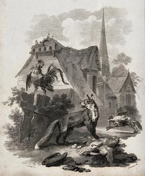 Two foxes killing and carrying away a goose and a chicken while a cockerel .. Stock Illustration