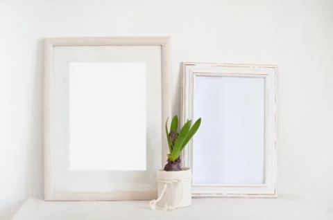 Two framed frames and hyacinth Stock Photos