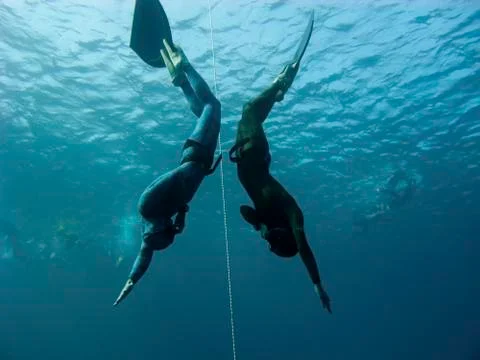 Two freedivers make simultaneous dive in bue hole Stock Photos
