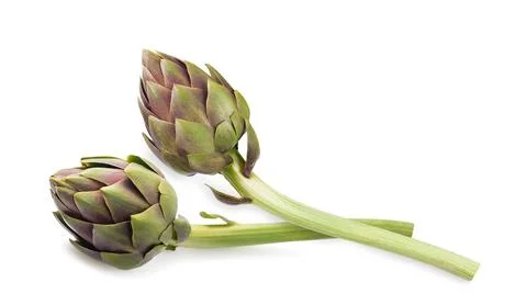 Two Fresh Artichokes Stock Photos
