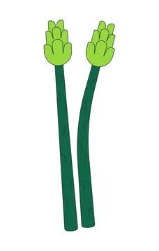 Two fresh asparagus spears 2D cartoon clip art Stock Illustration