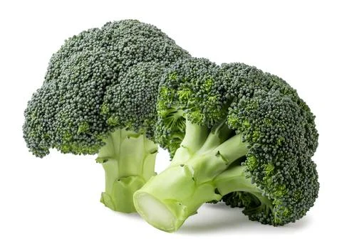 Two fresh broccoli close-up on a white. Isolated Stock Photos