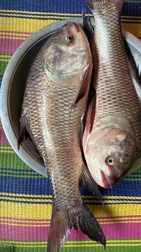 Two fresh carp fish lay in a metal bowl against a colorful woven mat Foto stock