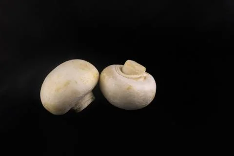 Two fresh champignons Stock-Fotos