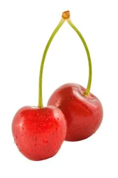 Two fresh cherries Stock Photos