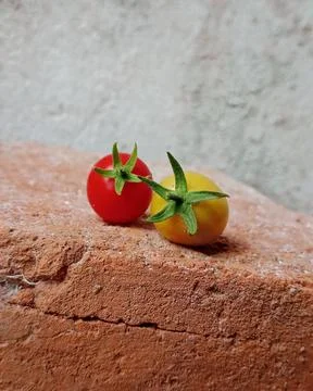 Two fresh cherry tomatoes on a red brick Stock Photos