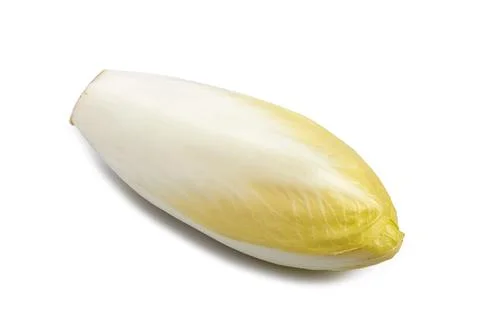 Two fresh Chicory on white background Stock Photos