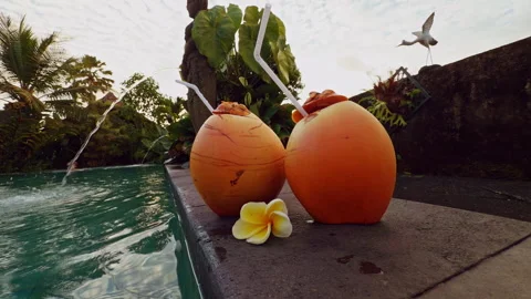Two Fresh Coconuts With Drinking Straws Beside Tropical Resort Pool During Relax 動画素材 337017694