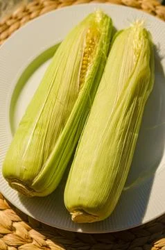Two fresh corn cobs on white plate Stock Photos