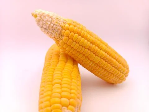 Two fresh corns on a white background Stock Photos