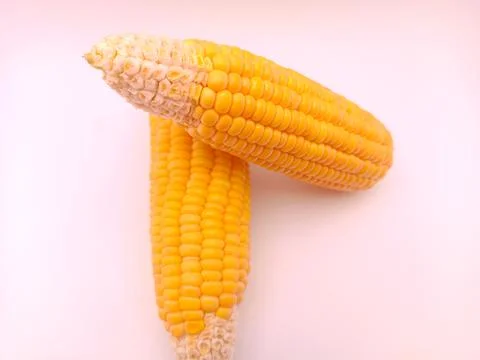 Two fresh corns on a white background Stock Photos