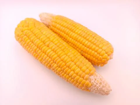 Two fresh corns on a white background Stock Photos