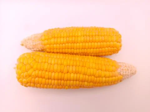 Two fresh corns on a white background Stock Photos