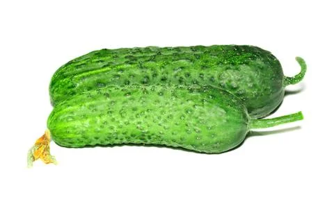 Two fresh cucumber Stock Photos