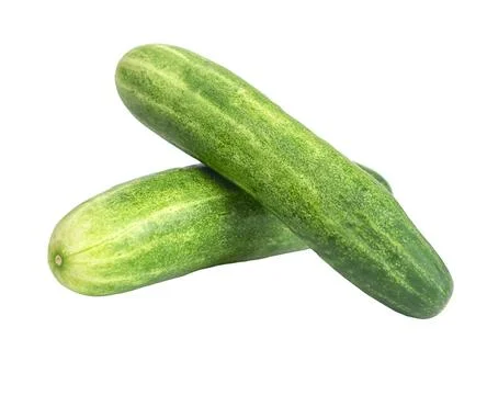 Two fresh cucumbers isolated Stock Photos
