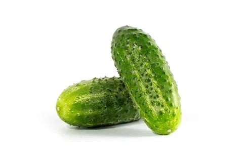 Two fresh cucumbers on an isolated white background Stock Photos