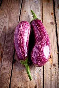 Two fresh eggplants Stock Photos