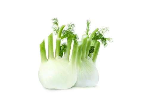 Two Fresh fennel bulbs isolated on white background Stock Photos