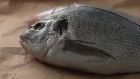 Two fresh fish rotate into view on a paper-covered surface. Stock Footage 259178214