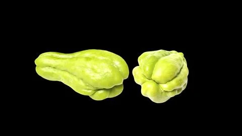 Two fresh green chayote squashes isolated on black background. 库存照片