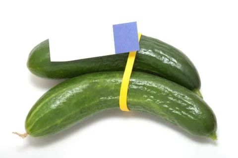 Two fresh green cucumbers Stock Photos