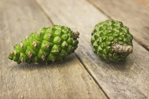 Two fresh green pine cones are lying on an table in garden Stock Photos