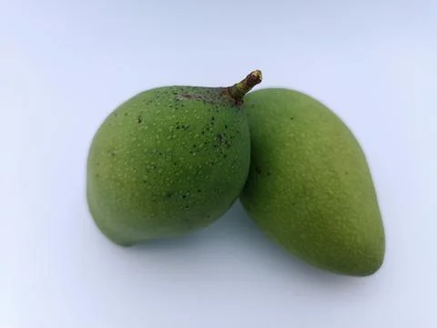 Two fresh mango in a white background Stock Photos