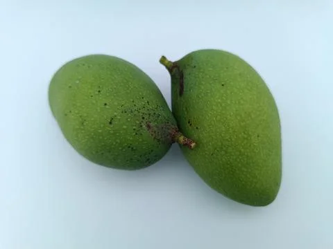 Two fresh mango in a white background Stock Photos