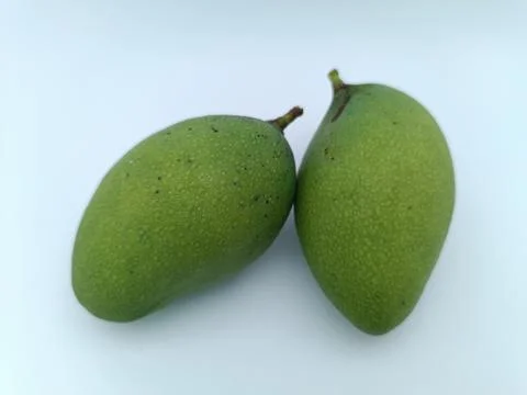 Two fresh mango in a white background Stock Photos