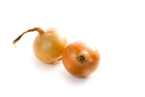 Two fresh onions Stock Photos