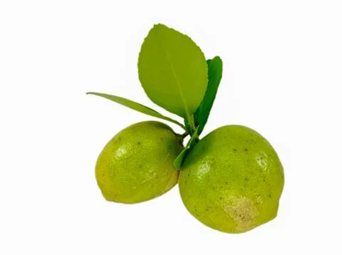 Two fresh oranges Stock Photos