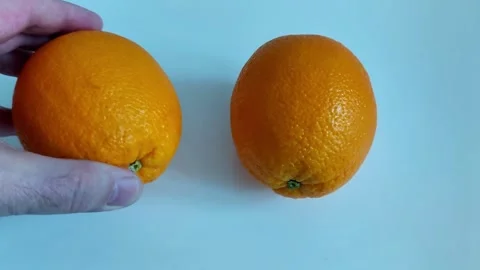 Two Fresh Oranges Side by Side on Light Blue Background Surface 스톡 동영상 329404152