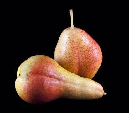 Two fresh pears Stock Photos