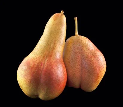 Two fresh pears Stock Photos