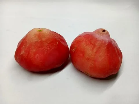 Two Fresh Pink Malay Apples or Rose Apples on White Background Stock Photos