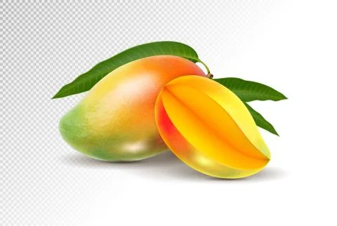 Two fresh realistic mango fruit on a transparent background Stock Illustration